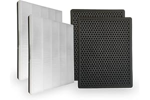 Comedes Set di filtri di Ricambio per Philips AC1215/10 e AC2729/10 Purificatore d'Aria | HEPA e Filtro a Carbone Attivo | applicabile al Posto di Philips FY1410/30 e FY1430/30 (2 Pezzi)