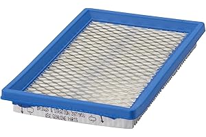 Briggs & Stratton Cartuccia Filtro dell’Aria Originale 397795S Briggs And Stratton