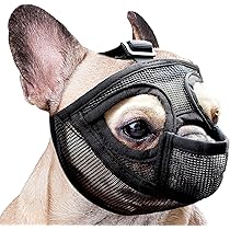 Museruola Per Bulldog Francese E Cani Muso Corto - Rete Traspirante Regolabile, Anti Abbaiare E Masticare - Foto 9
