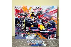 Tucocoo Go Kart Peinture par numéros pour adultes et enfants, compétitions de course, peinture par numéros pour enfants, débutants, 40,6 x 50,8 cm, peinture style graffiti coloré (sans cadre)