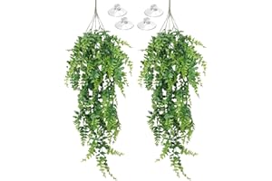Allazone Piante Appese Artificiali Piante Finte Rampicanti Artificiali Piante Felce Finta Boston Verdi per Decorazione del Giardino di Casa, Draghi Decorazioni per Serbatoi di Serpenti (Verde 2 Pz)