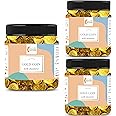 ORGANIC NATURE Gold Coin Milk Chocolates/Chocolate Coins Gift Pack (Jar Pack) (300 Pieces (Pack Of 3 Of 100 Pieces, 300 Gram)