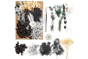 JOFONY Flores secas, flores secas, juego de flores secas para manualidades, accesorios para álbumes de recortes, arreglos florales, decoración de flores, decoración de boda (negro)