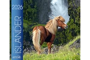 Isländer 2026: Isländische Pferde