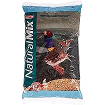 Padovan Grandmix Esotici - Mangime Per Uccellini 1000 Gr | Miscela Semi E Frutta - Foto 6