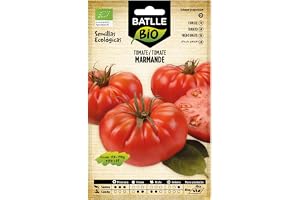 Frön – tomater Marmande Raf (85 frön)
