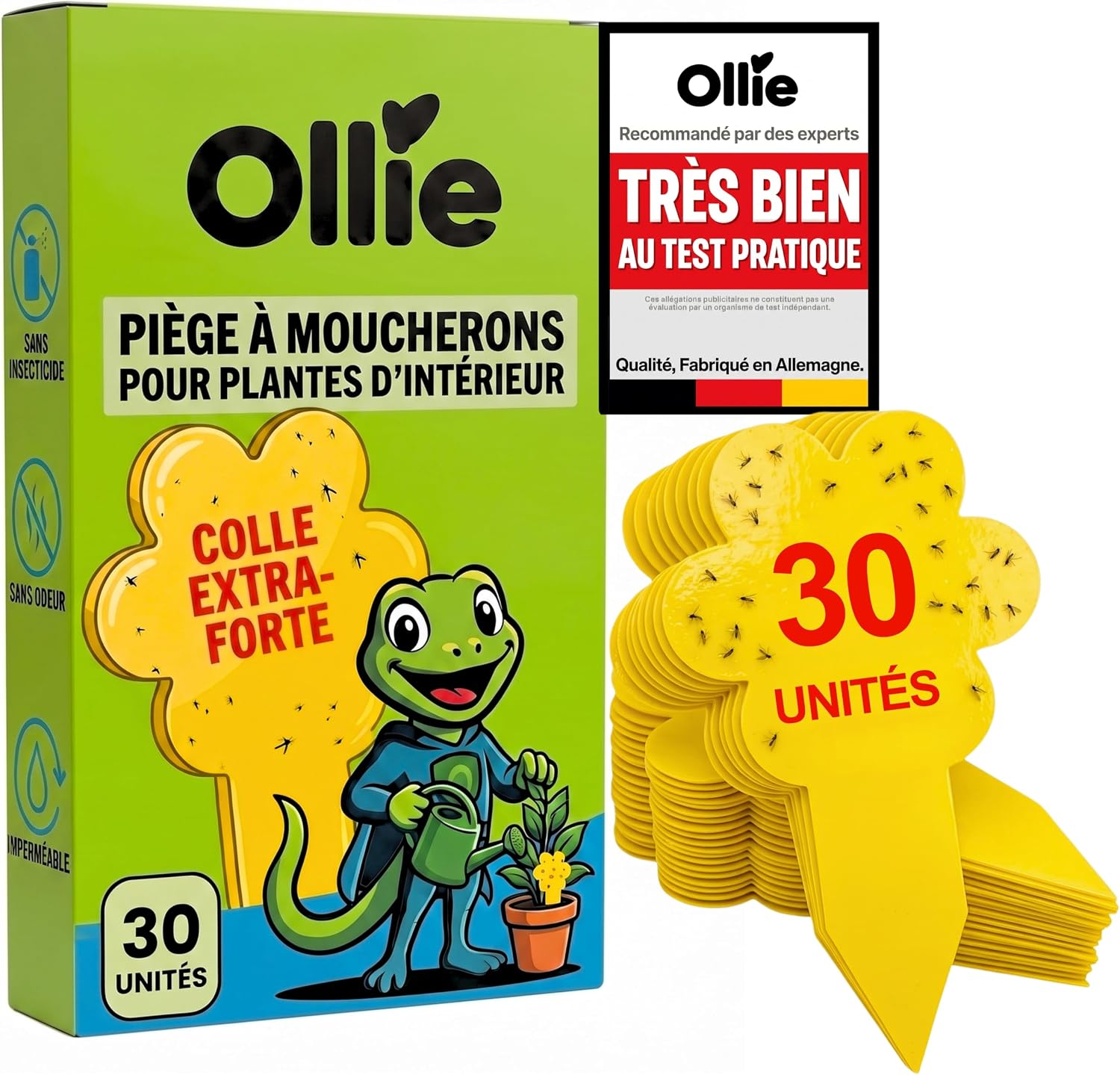 Avis d'Expert & Test Approfondi : Ollie Anti Moucherons Plantes Intérieur 30 Pi (Sélection)
