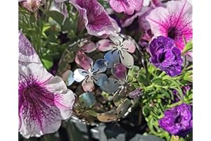 Jürgen Bocker Gartenambiente Dekorationskugel Flower Edelstahl matt gebürstet Dekokugel (10 cm)