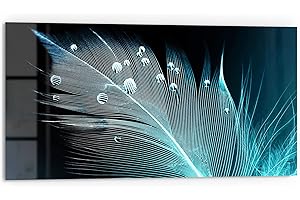 DEQORI Crédence de cuisine en verre - Motif plume avec perles d'eau - 80 x 40 cm - Panneau arrière de salle de bain ou de cuisinière - Protection anti-éclaboussures pour cuisine et salle de bain -