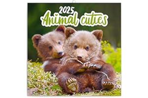 NOTIQUE Calendario da parete con motivo animale, 2025, calendario opuscolo con calendario mensile, calendario opuscolo, calendario animale, 30 x 30 cm (30 x 60 cm)