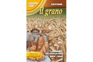 FRANCHI SEMENTI SEMENTI SELEZIONATE DI GRANO PER FARINA DA PANE CONFEZIONE DA 100 GRAMMI
