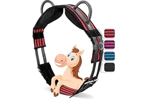 ‎ESPOSITA Esposita Reitgurt mit 2 Griffen aus Leder zum Festhalten für Kinder und Reitanfänger - auch geeignet als Longiergurt, Voltigiergurt oder als Holzpferd Zubehör