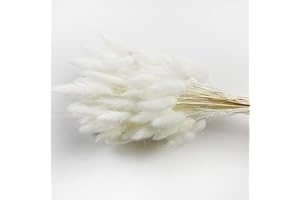 VELAFEE 100 Stems White Bunny Tails Pampas Grass Decor for Home Decor Cake Decor 45cm 17.7inches Rabbit Tails Dried Flowers Bouquet Best for Boho Decor Table Decoration Bedroom Decor