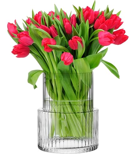 Pasabahce Botanica Vaso In Vetro Con Vita 26 Cm - Elegante Vaso Flora Trasparente - Idea Regalo E Decorazione Casa