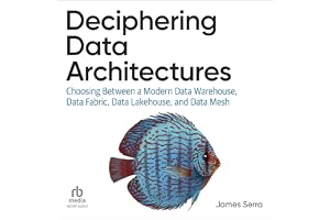 Deciphering Data Architectures: Choosing Between a Modern Data Warehouse, Data Fabric, Data Lakehouse, and Data Mesh