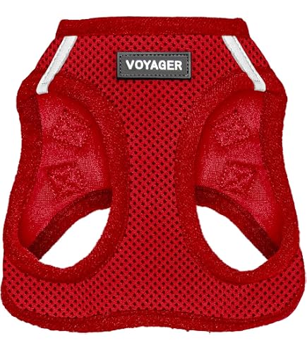 Step-in Air Mesh Dog Harness & Leash Combo - Reflective, All-Weather, For Small To Large Breeds (Fuchsia, XS)
