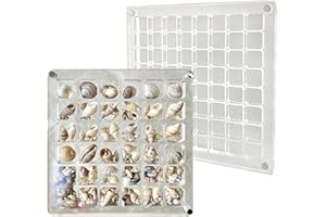 Mlysnd Caja Transparente con Tapa, Caja Transparente, 34 Rejillas+64 Rejillas Caja de Exhibición Magnética de AcríLico con Conchas Marinas Vitrina de Acrílico Transparente para Cuentas, Uñas, Joyas
