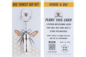 Silver Bee Revival Kit by Revive a Bee - A Keyring with Sugar Syrup & Plantable Packaging to Help Rescue Bees - A Perfect Bee-Saving Gift
