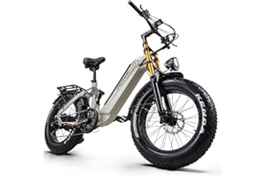 CEAYA Ebike Men's Women's Electric Bicycle A20 E-Bike Folding Bike 20 Inch with 48 V 20 Ah Battery, 7 Gears, Double Suspension Double Disc Brake, Fat E Bike