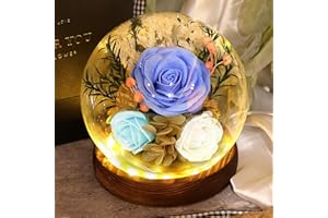 ‎FAYODO FAYODO Ewige Rose im Glas,Geschenke für Frauen,Mama,Oma,Freundin,Ehefrau,Tochter, 3 Blau Infinity Rosen Geschenk für Muttertag Valentinstag Geburtstag Gifts for Mom(Blau)
