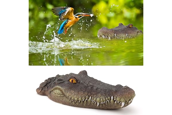 Rehomy Tête Crocodile Flottante pour étang - Accessoires de Piscine - Fausse tête Crocodile pour décoration et Protection de Bassin (01)