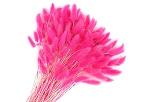 Songjum 120 PCS Dried Bunny Tails Flowers Lagurus Bunny Tails Pampas Grass Decor Rose red Dried Pampas Grass Decor for Flower Arrangements Boho Wedding Bouquets Home Decor Garden Decor(rose red)