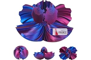 KOALA STUDIO Gear Ball Fidget - Sfera Rotante Portatile Antistress Stampata in 3D Idee Regalo Adulti - Compleanno Natale Formato Tascabile Feste Ansia Ufficio Piccola Leggera Gadget (Rosso Blu Brillante)