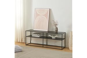 [en.casa] Mobile TV Tavolino Porta TV Consolle Bassa a 2 Piani di Appoggio Stand TV e Centri Multimediali 120 x 30 x 46 cm Acciaio Nero