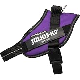 Julius-K9 IDC Power Harness S/Mini Dark Purple