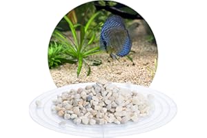 AQUAGRAN Schicker Mineral – 25 kg Aquariumkies Beige – grober Aquariumsand gewaschen & ungefärbt – kantengerundeter Bodengrund Kies für Süßwasseraquarien & Meerwasseraquarien (Ø Körnung: 5,6-8,0 mm)