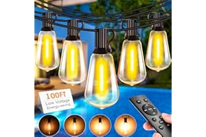 Light-Brightly Catena Luminosa Esterno con Telecomando, Luci da Esterno Giardino Dimmerabile con ST38 LED Lampadine di Ricambio 2700K per Illuminazione Gazebo Esterno Patio Jardin (30M)