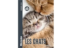 Les Chats - Mille et un docs: Un poster inclus !