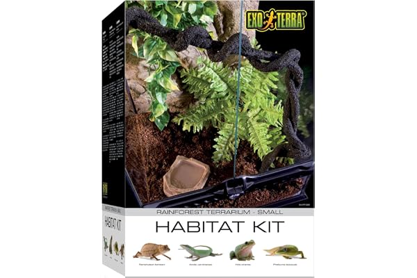 Exo Terra - Rainforest / PT2660 - Kit vivarium - Taille S