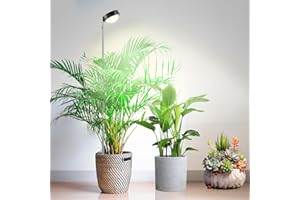 fayleer Pflanzenlampe LED Vollspektrum mit Optischer Linse für Hohe PPFD, Höhenverstellbare Grow Lampe mit 6/12/18H Timer, Grow Light Pflanzenlicht Wachstumslampe für Zimmerpflanze Hohe Pflanzen