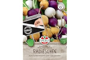 Sperli Radieschen Kombination 3 | Zlata, Viola, Albena | 5m Saatband für rund 250 Radieschen Samen