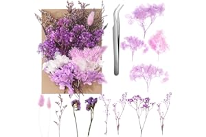 aurorayer Trockenblumen Natürliche Getrocknete Blumen für Epoxidharz,Kerzen,Kunsthandwerk,Kranz, Anhänger,Scrapbooking,Hochzeits Dekoration,Haus Dekoration (Lila)