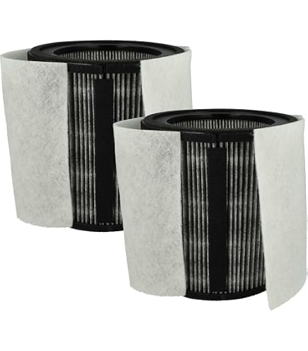 PUREBURG Confezione da 2 filtri HEPA di ricambio con 4 prefiltri in carbonio, compatibili con purificatore d'aria Soehnle Airfresh Clean 300