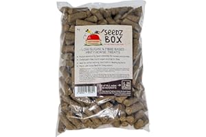 Horse Treats 1kg – Minty Flavour - Fibre Based – Low Sugar – Cereal Grain Free – Feed By Hand – Add To Treat Ball or Feed For Fussy Feeders – Occasional Snack For Horses – Clicker Training - Seedzbox