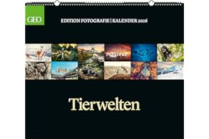 GEO - GEO Edition: Tierwelten 2026 – Wandkalender 70x60 cm, Tier-Poster-Kalender mit Wildlife-Fotografie, 12 Monatsblätter & Spiralbindung inkl. Postkarten für Tier- und Naturfreunde