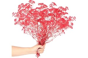 SONGJUM Dried Baby's Breath Flowers Bouquet Natural Dried Flowers Baby's Breath Real Gypsophila Branches for Wedding Table Vase Party Garden DIY Wreath Floral Home Decor（Red）