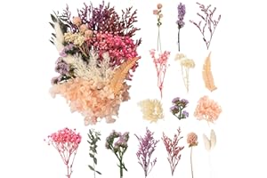 LAUMOE Fleurs Séchées, Fleurs Sechees Naturelles Fleur Séchée pour Bougies Fleurs Sechees Fleurs Séchées Vrac Fleur Sechees Decoration pour Bricolage Résine Epoxyn Art DIY Artisanale Scrapbooking