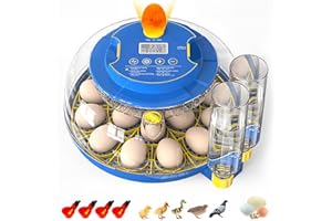 MYPIN Incubadora Huevos Gallina, Incubadora Automática para 18 Huevos, Control de Temperatura y Humedad, Volteo y Llenado de Agua Automático, con Ovoscopio