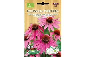 Germisem Biologico Echinacea Purpurea Semi di Echinacea Viola 0.5 g
