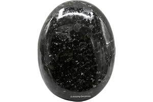 AMAZING GEMSTONE Crysta Palm Stone Piedra curativa natural para Chakra Balancing Spritual Good Luck (Nuummite)