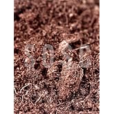 İthal Sphagnum Bitki Yetiştirme Torfu - B&ouml;cek Sinek Yapmaz Premium Kalite 10 Lt