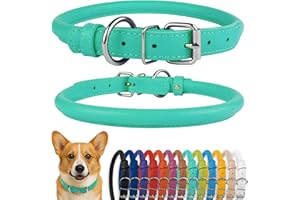 CollarDirect Rolled Leather Dog Collar, Soft Padded Round Puppy Collar, Handmade Genuine Leather Collar Dog Small Large Cat Collars Black Pink Red Purple Blue (Fits 12"-15" Neck, Mint Green)