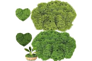 lomdung 200g Muschio Stabilizzato, Muschio Finto per Decorazioni, Riutilizzabili Muschios Decorativo, per Bricolage Modellismo Parete Terrario Casa Decori (Verde Chiaro+Verde Scuro)