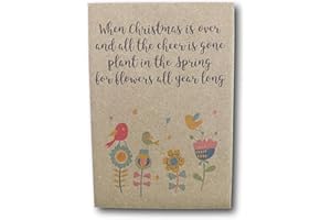 WAYSTOSAYTHANKYOU 10 X UNPERSONALISED Christmas Seed Packets – Quick Dispatch - When Christmas is Over - Table Decoration, Stocking Filler, Small Gift, Card Filler - Eco Friendly Stocking Filler Flowers