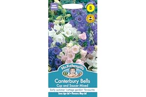 MR FOTHERGILLS Mr Fothergill?s Seeds Ltd 11999 Mr Fothergill's Seeds Ltd Canterbury Bells Cup & Saucer Mixed,75 cm