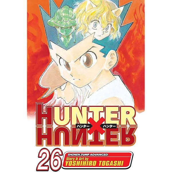 ＨＵＮＴＥＲ×ＨＵＮＴＥＲ ２９ Hunter X Hunter, Vol. 29 : Togashi, Yoshihiro: Amazon.pl